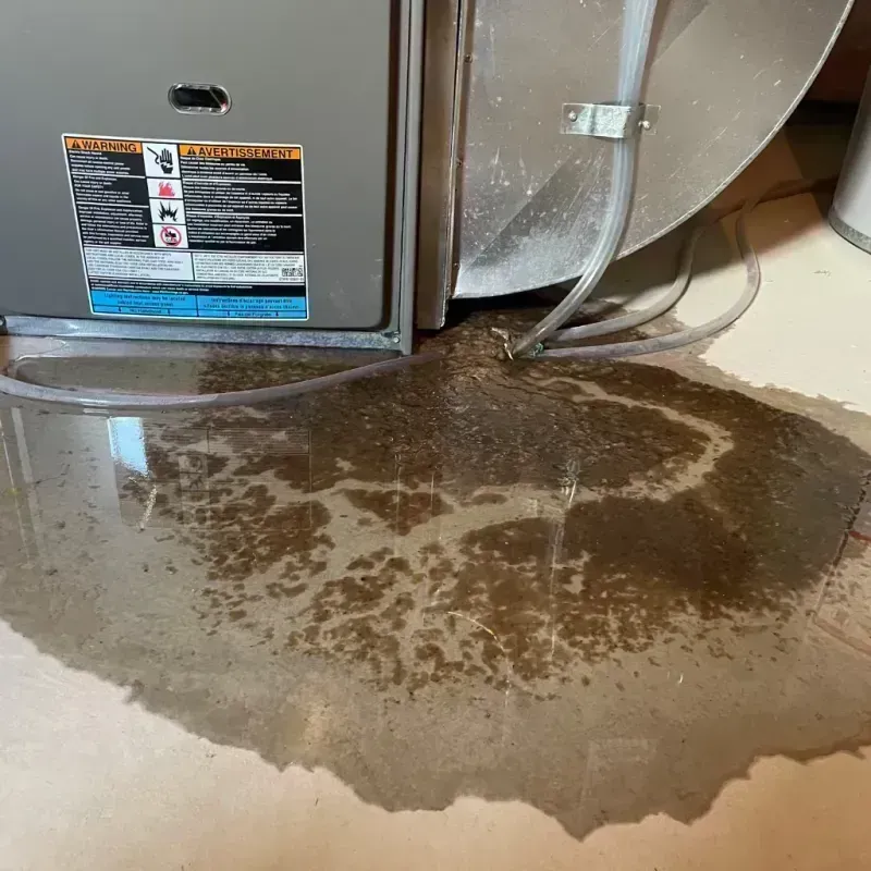 Appliance Leak Cleanup in Henry County, MO